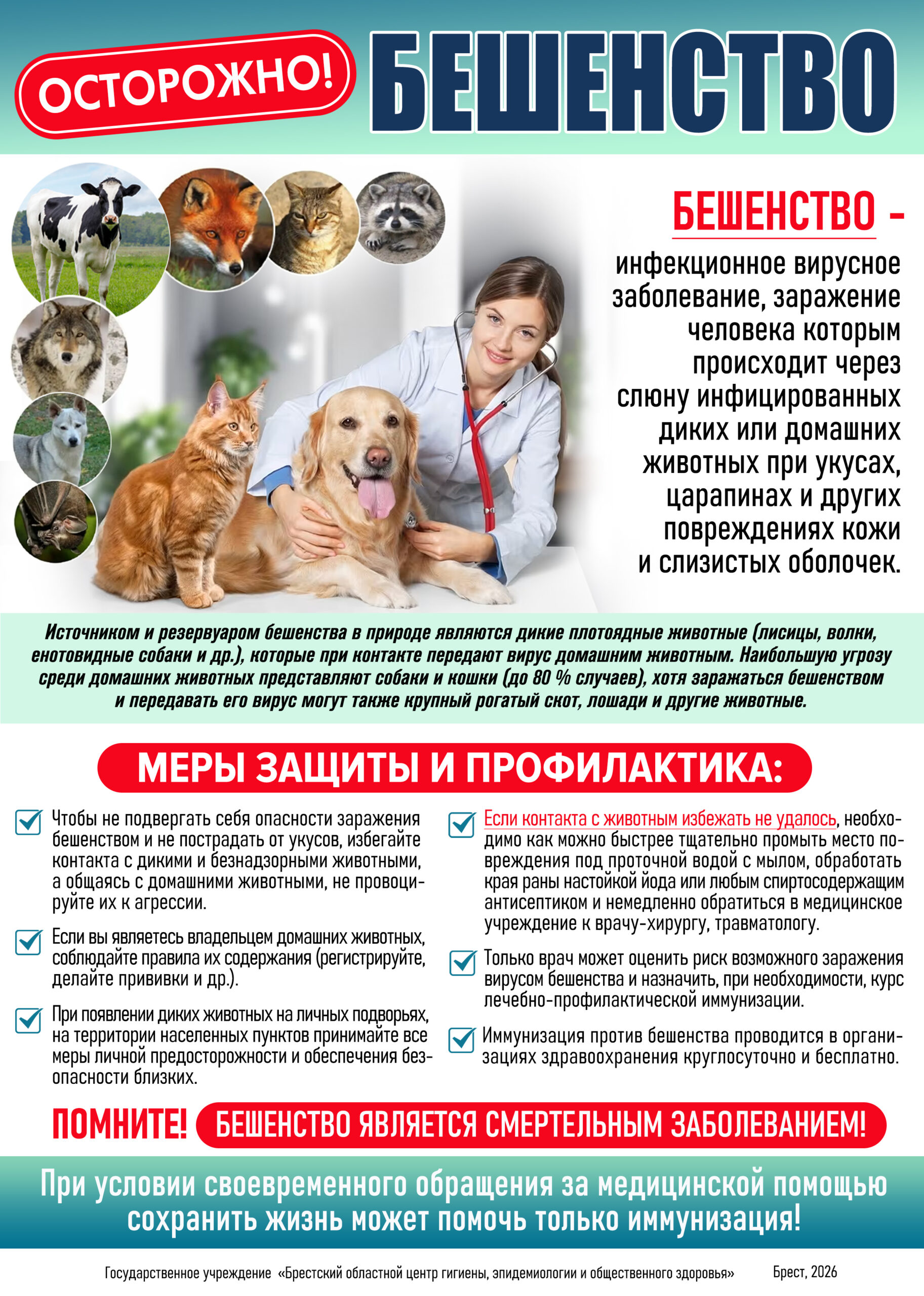 Осторожно бешенство